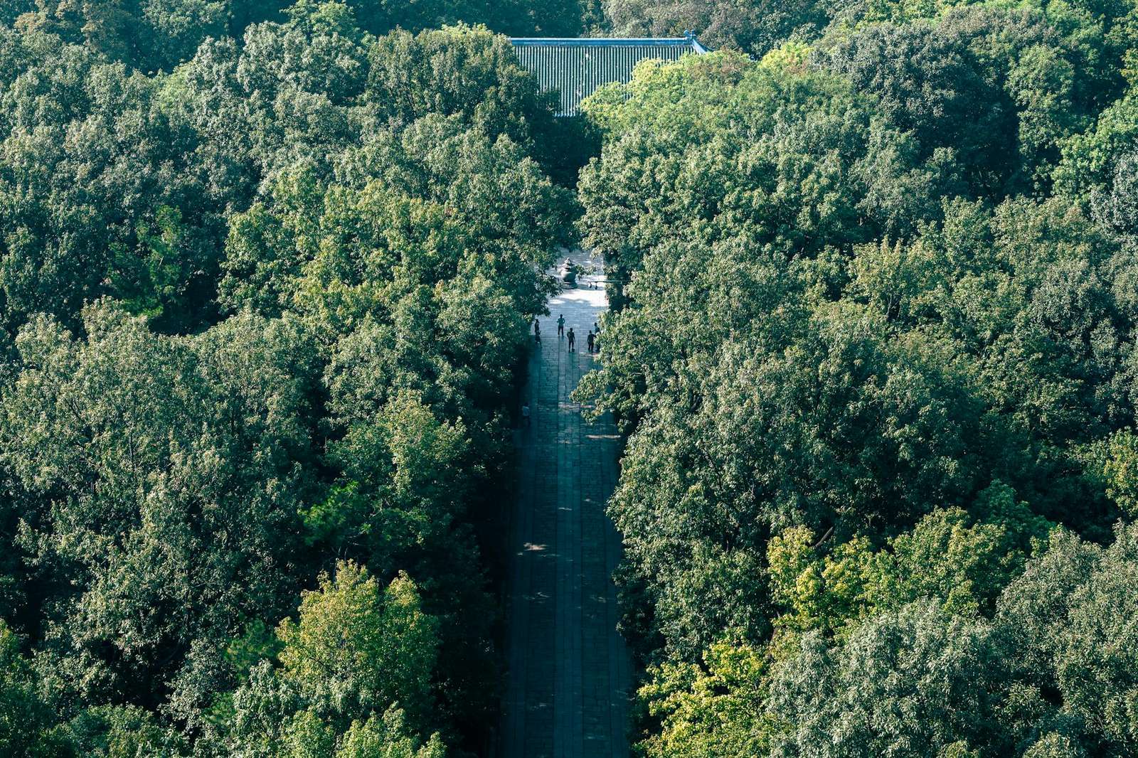 谷歌浏览器跨设备同步设置示意图